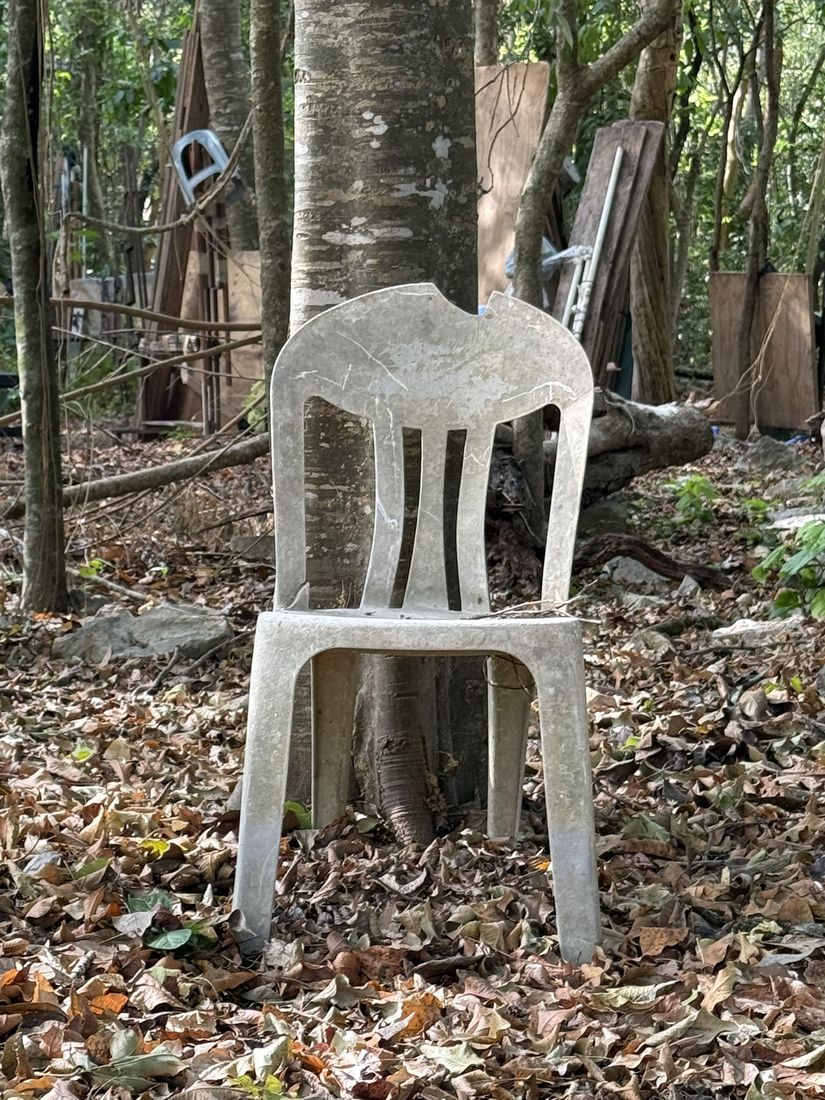 A weathered grey side chair with a broken back, among fallen leaves