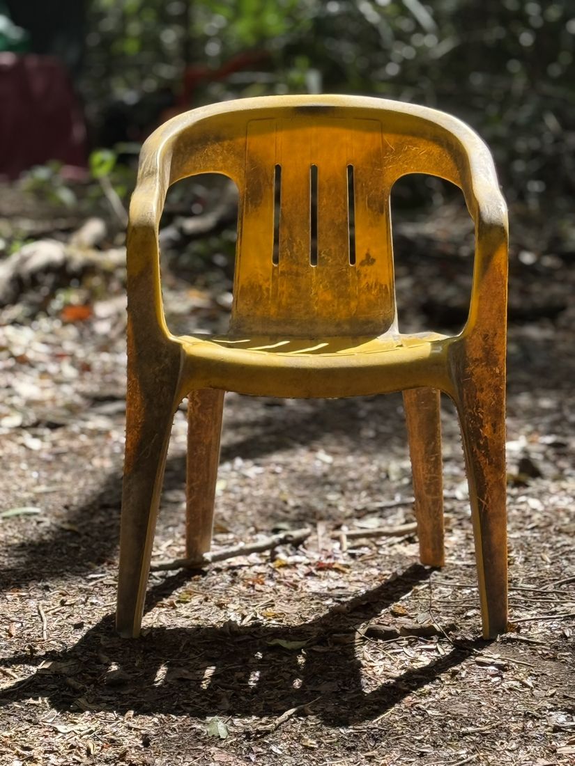 A sun-faded yellow armchair on a forest path
